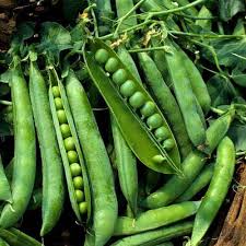 Green Peas